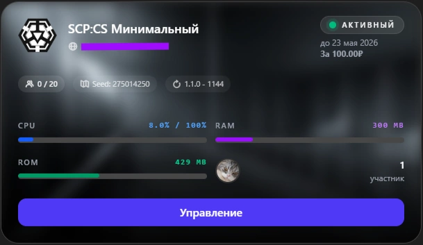Отображение сервера в панели управления